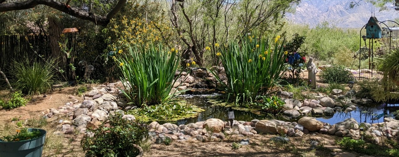 Journey to Healing pond